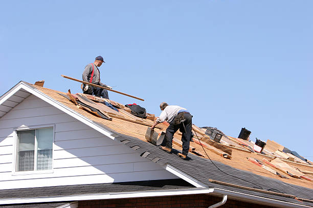 Best Gutter Installation and Repair  in Savannah, GA